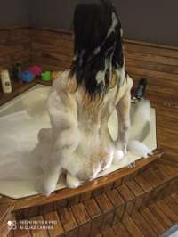 Antalya'nın Büyüleyici Escort Güzeli; Evde Hizmetinizde